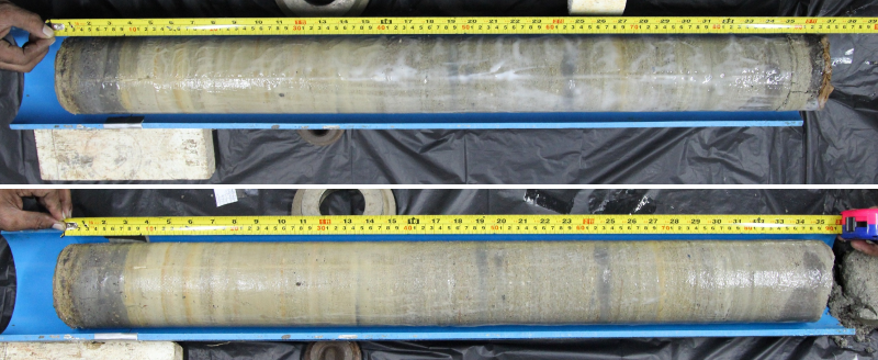 Fig2 Gel-Pushed Samples obtained from Reclamation Sand Fill