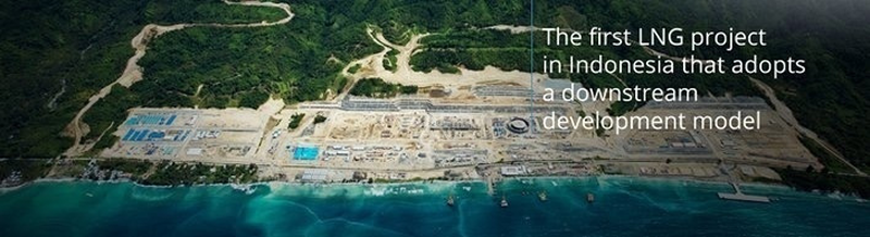 Overview of DSLNG Project